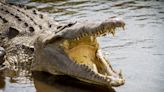Here's a surefire way to determine if there are alligators in any body of water!