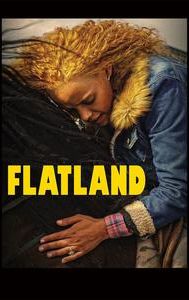 Flatland (2019 film)