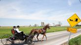 An Amish family had their horse and buggy stolen from a Walmart parking lot while they were shopping, police say