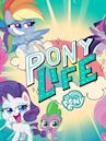 My Little Pony - Pony Life