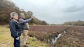 'Big, big growth of algae.' Restored Marstons Mills wetlands to lessen nitrogen pollution