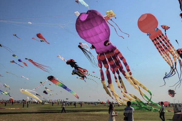 Gets High on a Kite