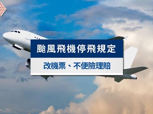 颱風飛機取消怎麼辦？颱風飛機停飛標準、不便險理賠範圍一次看│TVBS新聞網