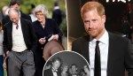 Prince Harry spoke to the Spencer family after uncle Robert Fellowes’ death: report