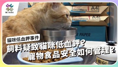 飼料疑致貓咪低血鉀？寵物食品安全如何管理？【獨立特派員】