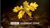 BBC Learning Zone