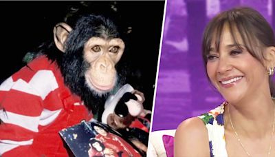 Rashida Jones recalls being bit by Michael Jackson's chimpanzee Bubbles: 'I have a scar'