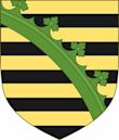 Ducado de Sajonia-Coburgo-Saalfeld