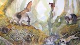 Prehistórico canguro gigante "Nombe Nombe" provienen de Papúa, según un estudio