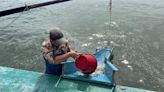 世界海洋日前夕 台塑攜手區漁會放流44萬尾魚苗