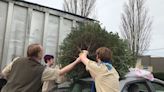 How to recycle natural Christmas trees in Portland and Vancouver