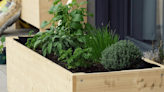 CCE Steuben to give away container garden kits