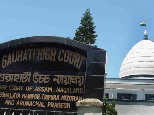 Death in police custody: Gauhati High Court push for 3 deceased Hmar youths' final report