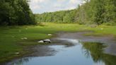 Worcester County drenched with outdoor water use restrictions as drought rages on