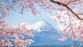 2024 Japan cherry blossoms early bird deals now on KKday Singapore