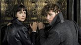 ‘Fantastic Beasts’ Franchise “Parked” Says ‘Harry Potter’ Filmmaker