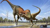 Could T-Rex fossils found long ago be another dinosaur species? Study finds new evidence