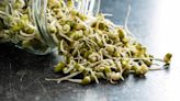 Health benefits of sprouts: Improves digestion, manages weight, boosts immunity, more