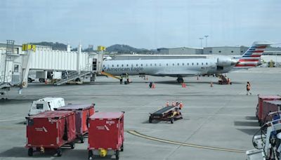 Possible bird strike diverts American Airlines flight, plane lands safely in Baltimore