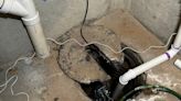 Avoid your home flooding by making sure this particular pump is working