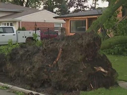 Chicago weather: Cleanup underway following widespread storm damage