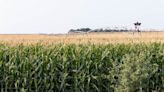 AGDAILY: Agriculture Emissions are at Their Lowest in 10 Years