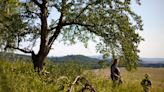 Having a country walk can stop time rushing by, say scientists