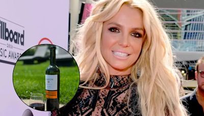 La sorpresiva decisión que tomó la bodega mendocina sobre el vino que hizo viral Britney Spears | Economía