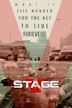 Stage V