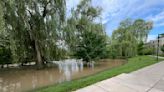 Ontario floods: How nature-based solutions can promote effective flood management