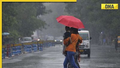 Weather Update: Delhi-NCR receives heavy rainfall amid humidity, check IMD forecast for other states here