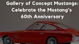 Gallery of Concept Mustangs: Celebrate the Mustang’s 60th Anniversary