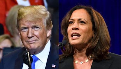 Anthony Scaramucci Says If Trump Wants To 'Get Back In The Race' With Kamala Harris, Ex-President Will Have To Do...