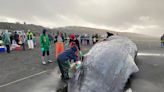 Photos show a bloody 40-foot sperm whale carcass that washed ashore the Oregon coast in a blow to the endangered species