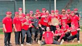 CCAC Boyce baseball falls just short in district championship series