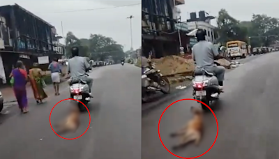 Video: Man Ties Dog To Scooter, Drags It For Over A km In Karnataka’s Udupi