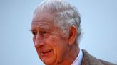 King Charles learned of Queen's death after picking mushrooms, book reveals