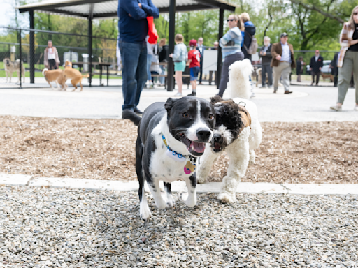 Camden County opens new dog park in Cherry Hill along Cooper River