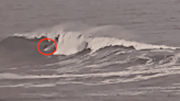 Mavericks Awakens, Peter Mel Snags First Tube of the Season (Clip)