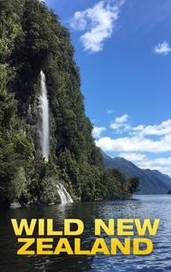 Wild New Zealand