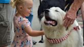 Aiken dogs on display at local pet supply shop's annual Patriotic Paw Parade