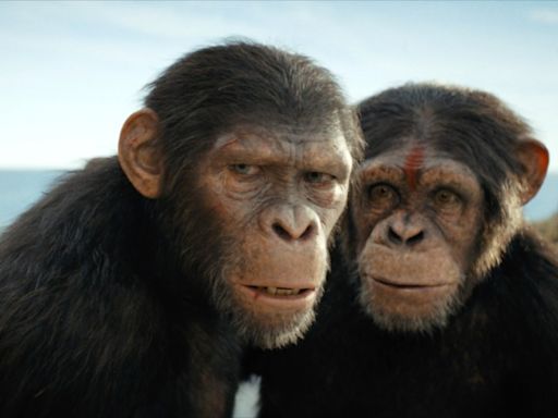 Box Office: ‘Kingdom of the Planet of the Apes’ Hits $237 Million Globally, ‘IF’ Nears $60 Million