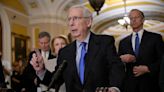 US Senate Republicans push back against anti 'judge shopping' policy