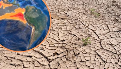 Día Mundial del Medio Ambiente: Perú reafirma su compromiso ambiental con 146 medidas contra la crisis climática