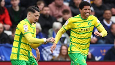 Leeds United Want to Sign Norwich Playmaker Gabriel Sara