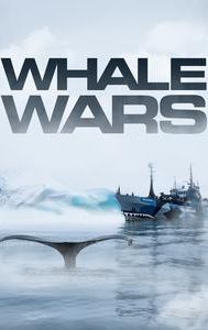 Whale Wars