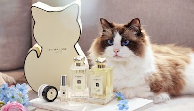 Jo Malone London萌寵造型禮盒可愛爆擊！行李吊牌、鑰匙圈 這樣買就能獲得 - 自由電子報iStyle時尚美妝頻道