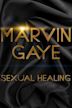 Sexual Healing | Biography, Drama, Music