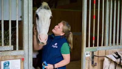 How horses can soothe the soul and help your mental health