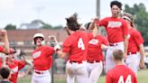 Delsea baseball checks into first state final; Seneca falls short in its bid